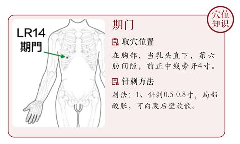 旗門穴|期门穴